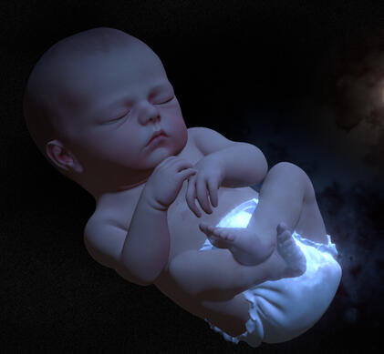 Branching Dialogue - 'Baby Fallen' Interactive Fiction Game